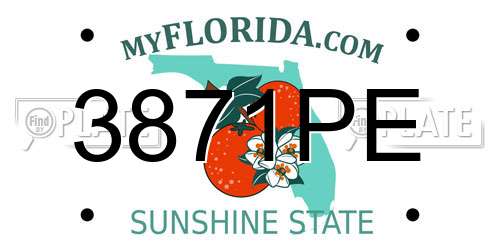 3871PE Florida License Plate