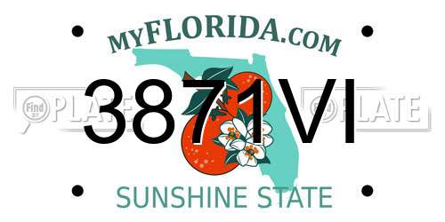 3871VI Florida License Plate