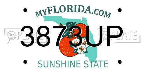 3873UP Florida License Plate