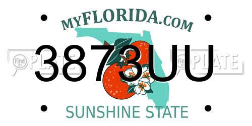 3873UU Florida License Plate