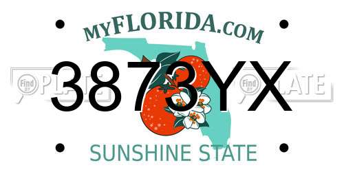 3873YX Florida License Plate