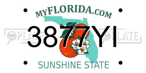 3877YI Florida License Plate