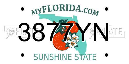 3877YN Florida License Plate