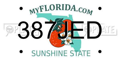 387JED Florida License Plate
