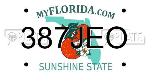 387JEO Florida License Plate