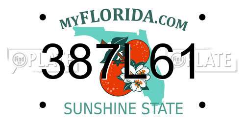 387L61 Florida License Plate