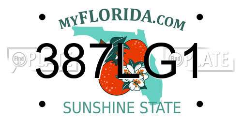387LG1 Florida License Plate