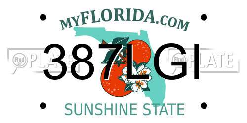 387LGI Florida License Plate