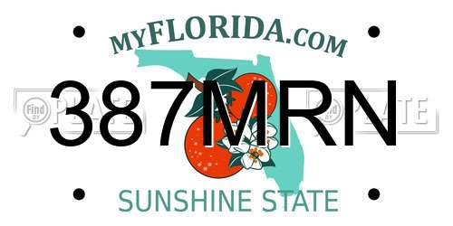 387MRN Florida License Plate