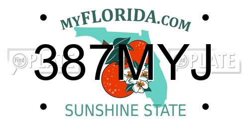 387MYJ Florida License Plate