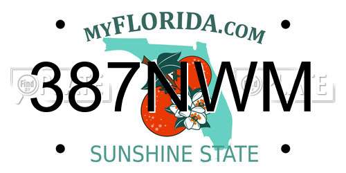387NWM Florida License Plate