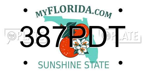 387PDT Florida License Plate