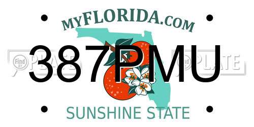 387PMU Florida License Plate