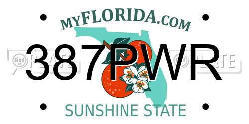 387PWR Florida License Plate