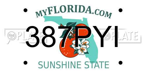 387PYI Florida License Plate
