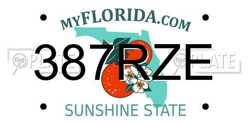 387RZE Florida License Plate