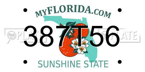 387T56 Florida License Plate