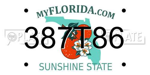 387T86 Florida License Plate