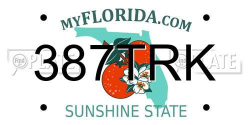 387TRK Florida License Plate