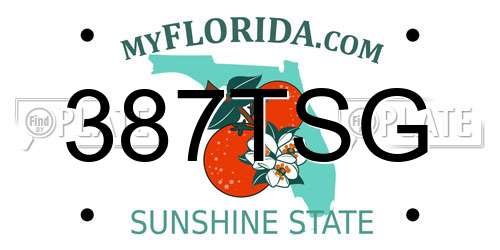 387TSG Florida License Plate