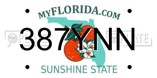 387YNN Florida License Plate