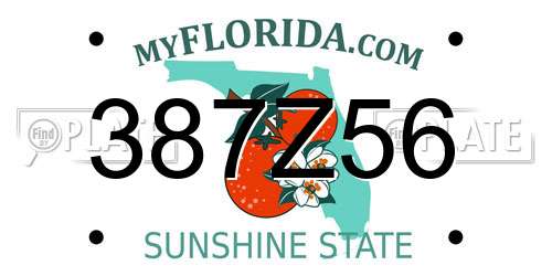 387Z56 Florida License Plate