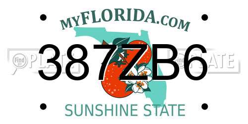 387ZB6 Florida License Plate
