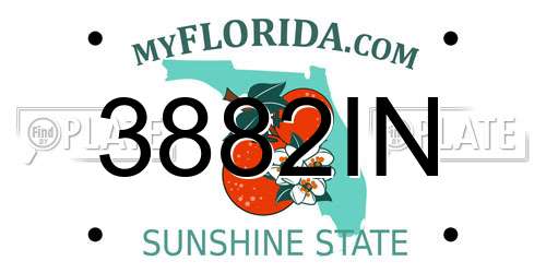 3882IN Florida License Plate