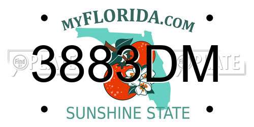 3883DM Florida License Plate