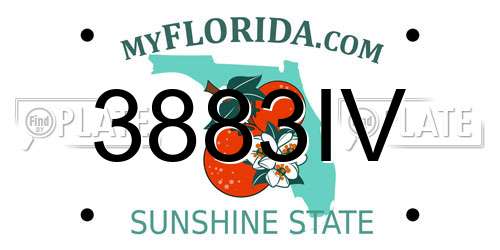 3883IV Florida License Plate