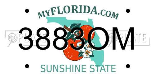 3883OM Florida License Plate