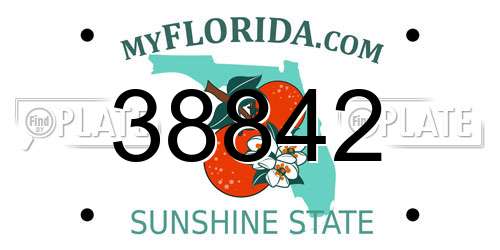 38842 Florida License Plate