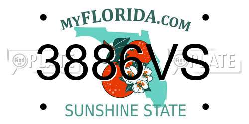 3886VS Florida License Plate