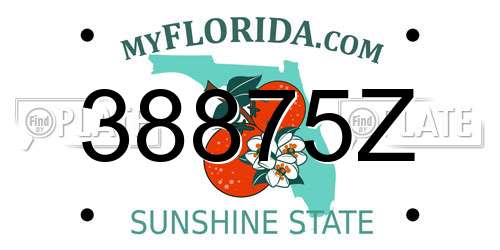 38875Z Florida License Plate