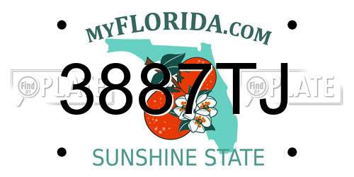3887TJ Florida License Plate