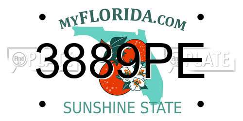 3889PE Florida License Plate