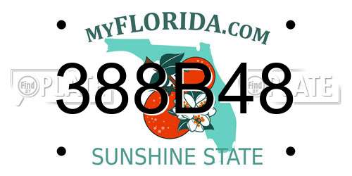 388B48 Florida License Plate
