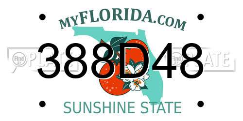 388D48 Florida License Plate
