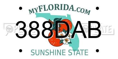 388DAB Florida License Plate