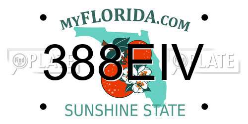 388EIV Florida License Plate