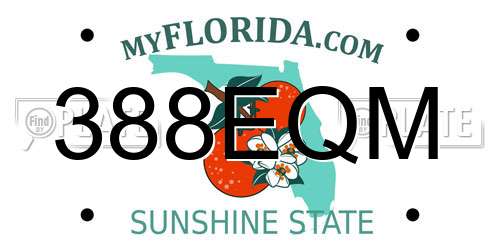 388EQM Florida License Plate