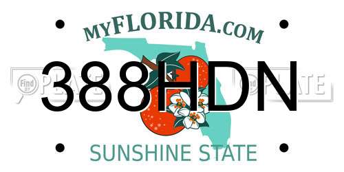 388HDN Florida License Plate
