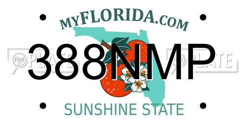 388NMP Florida License Plate
