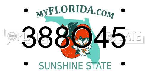 388O45 Florida License Plate