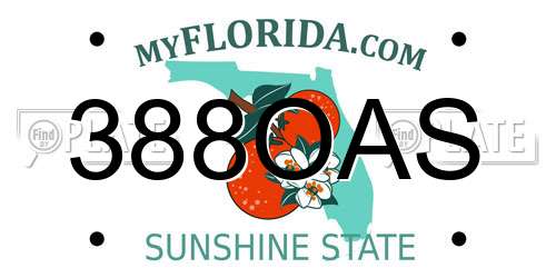 388OAS Florida License Plate