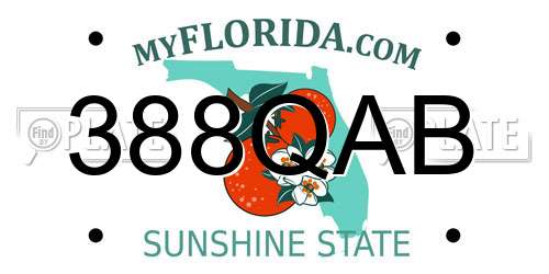388QAB Florida License Plate