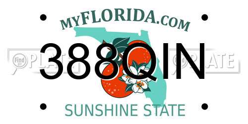 388QIN Florida License Plate