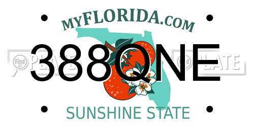 388QNE Florida License Plate