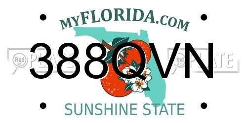 388QVN Florida License Plate