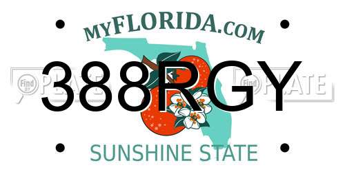 388RGY Florida License Plate